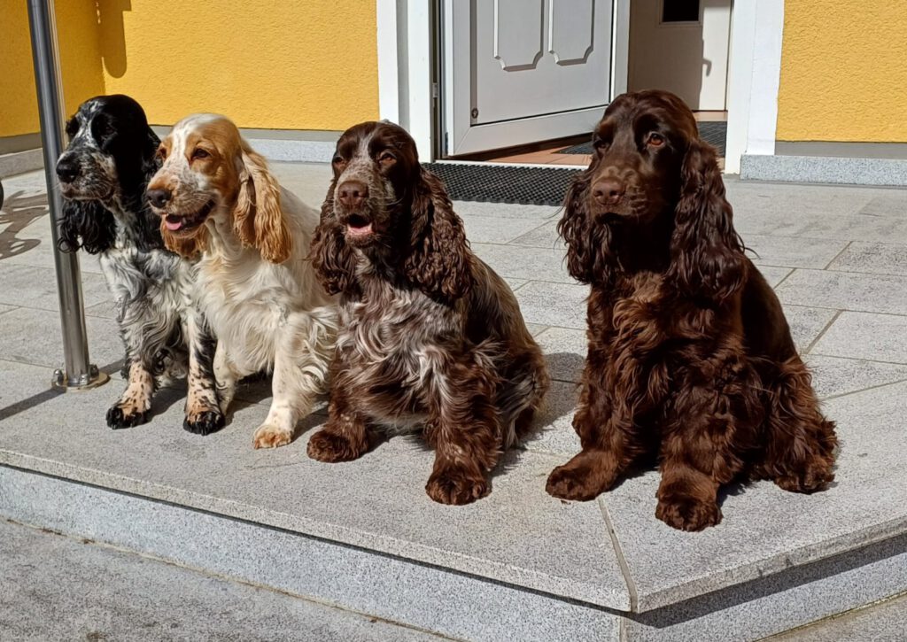 Rescue und VXY